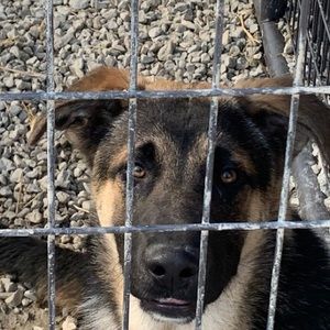 Meet your Posher, Logan